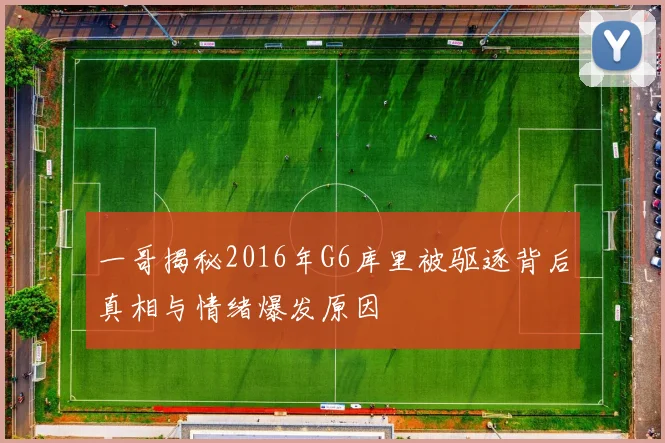 一哥揭秘2016年G6库里被驱逐背后真相与情绪爆发原因